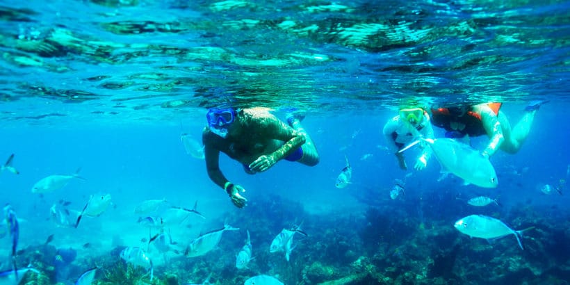 Snorkel Catalina