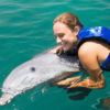 Dolphin Explorer