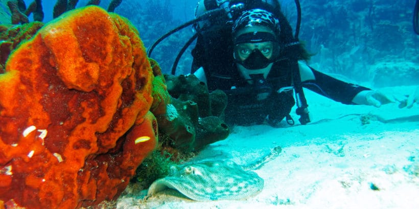 Diving Catalina Island