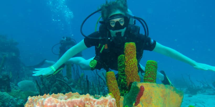 Diving Catalina Island