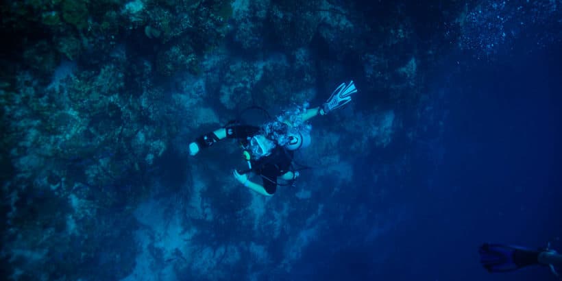 Diving Catalina Island