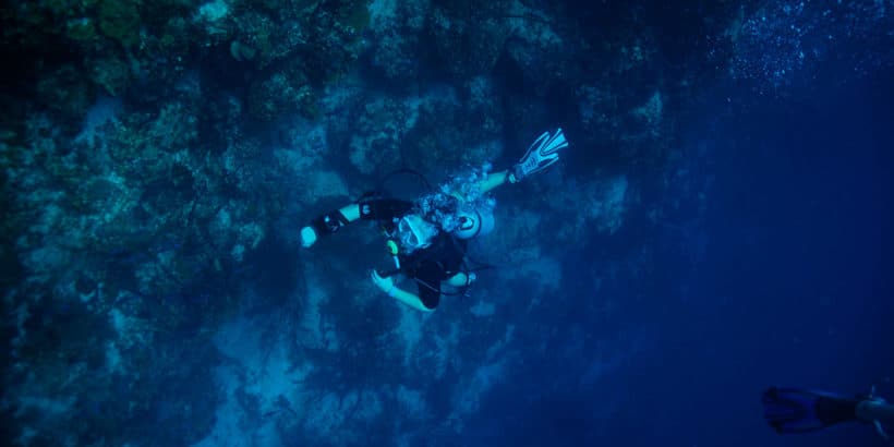 Diving Catalina Island