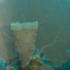 Diving Catalina Island