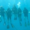 Diving Catalina Island