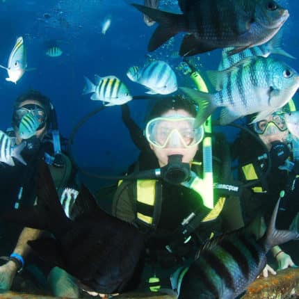 excursion punta cana buceo