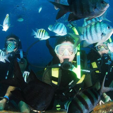 excursion punta cana buceo