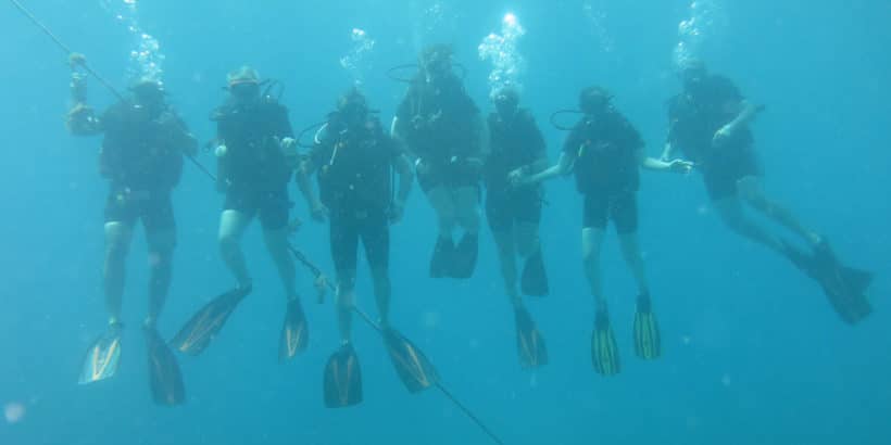 Buceo Isla Saona