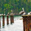 Los Haitises National Park