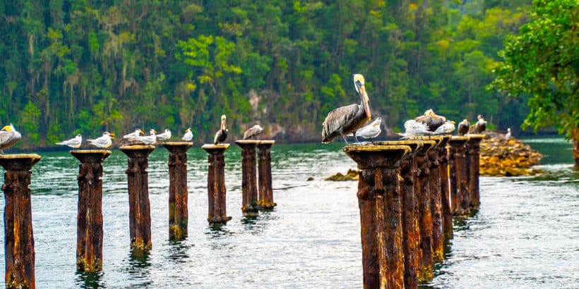 Los Haitises National Park