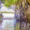 Los Haitises National Park