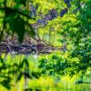 Los Haitises National Park