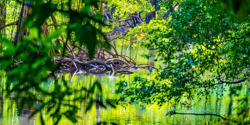 Parque Nacional Los Haitises