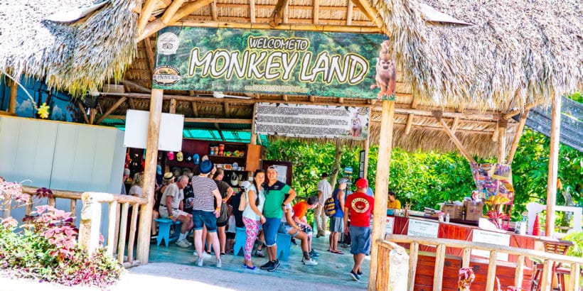 Monkey land