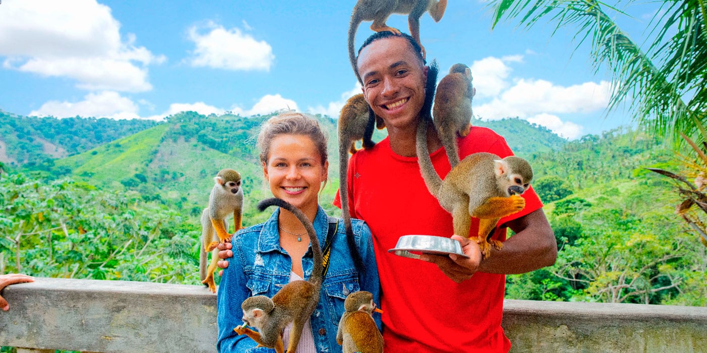 monkey tour in punta cana