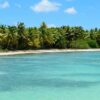 Saona Island Plus