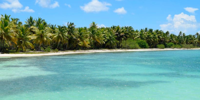 Isla Saona Plus